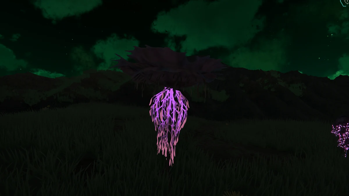 Brimmed Bonnet photographed in its bioluminescent Pyromycis habitat.