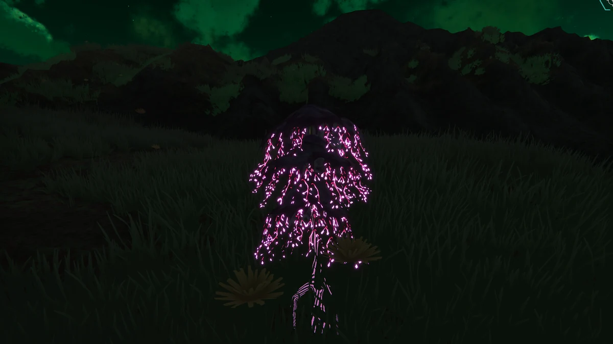 Dark Wizard photographed in its bioluminescent Pyromycis habitat.