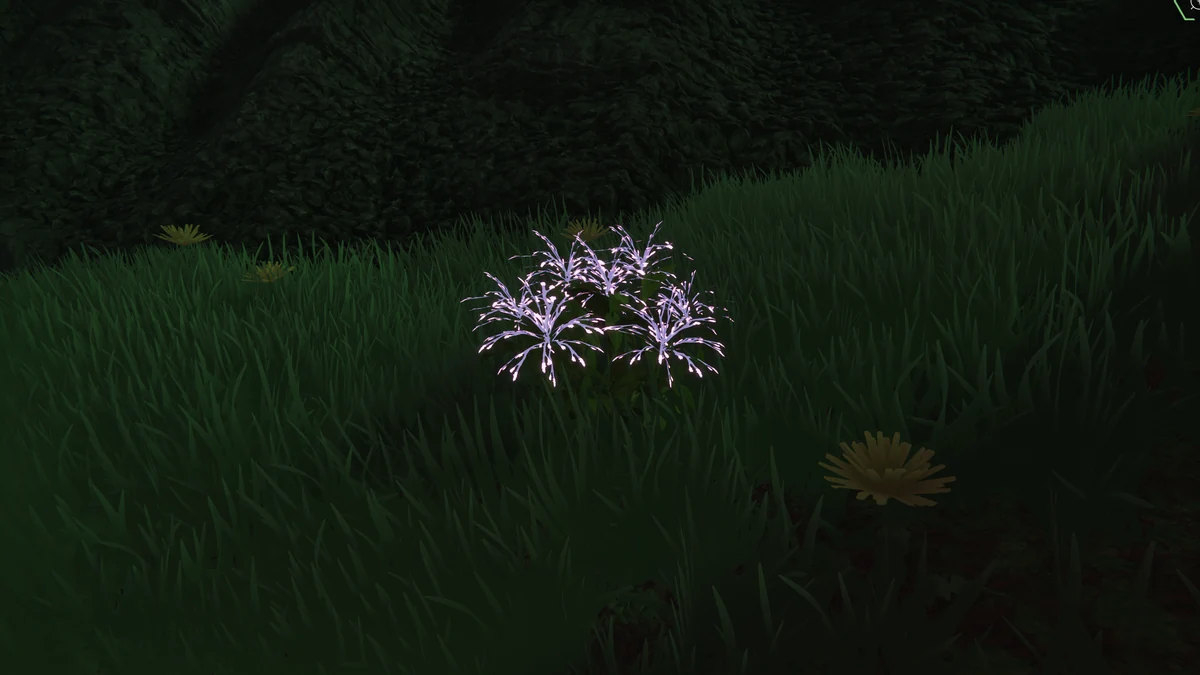 Glowy Rose photographed in its bioluminescent Pyromycis habitat.